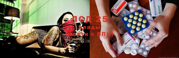 ПСИЛОЦИБИНОВЫЕ ГРИБЫ Нефтекумск