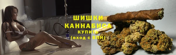 ГАЛЛЮЦИНОГЕННЫЕ ГРИБЫ Надым