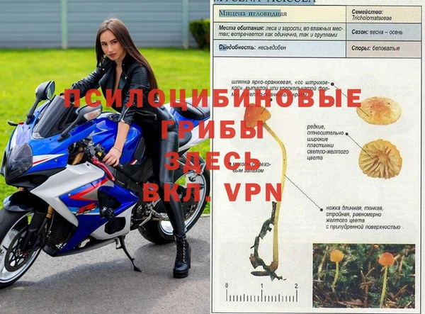 ПСИЛОЦИБИНОВЫЕ ГРИБЫ Нефтекумск