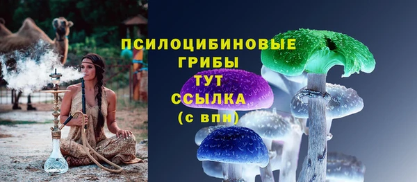 ГАЛЛЮЦИНОГЕННЫЕ ГРИБЫ Надым