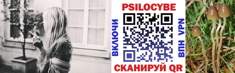 Галлюциногенные грибы Cubensis Астрахань