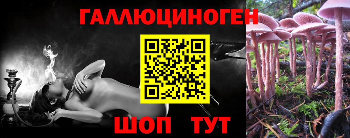 Галлюциногенные грибы Psilocybe  купить  сайты  Астрахань 